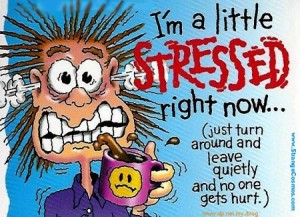 a little stressed